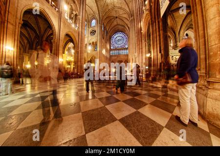 Innenseite von Notre-Dame de Paris - Paris - Frankreich Stockfoto