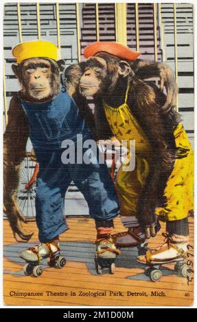 Schimpansen-Theater im Zoologischen Park, Detroit, Michigan. , Tichnor Brothers Collection, Postkarten der Vereinigten Staaten Stockfoto