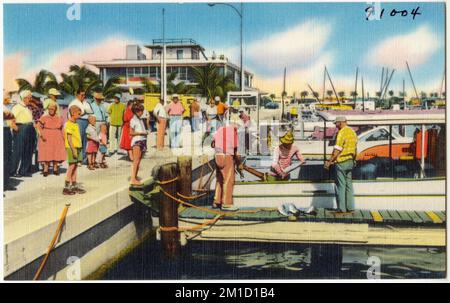 Clearwater Beach Marina, Boote, Tichnor Brothers Collection, Postkarten der Vereinigten Staaten Stockfoto