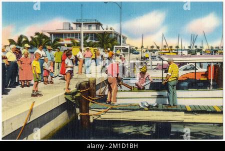 Clearwater Beach Marina, Boote, Tichnor Brothers Collection, Postkarten der Vereinigten Staaten Stockfoto