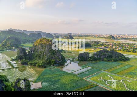 Panoramablick auf den Sonnenuntergang über Landschaften und Lotusfelder in Ninh Binh, Vietnam Stockfoto