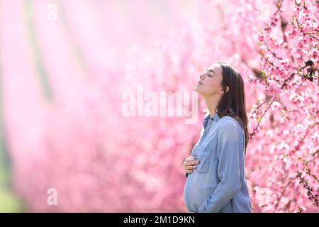 Seitenansicht einer schwangeren Frau, die frische Luft in einem rosa Feld atmet Stockfoto