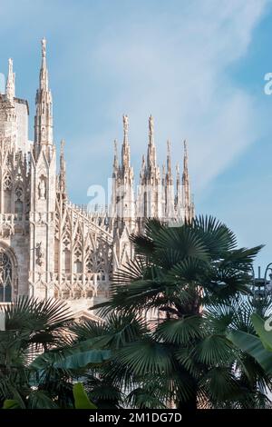 Details der Mailänder Kathedrale oder der Metropolitanischen Kathedrale – Geburtsbasilika der Heiligen Maria mit Palmen im Vordergrund Stockfoto