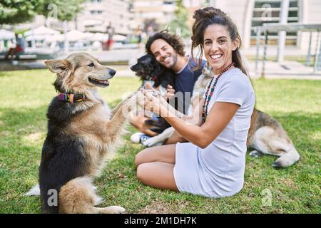 Mann und Frau Paar lächeln selbstbewusst auf Kraut mit Hunden im Park sitzen Stockfoto