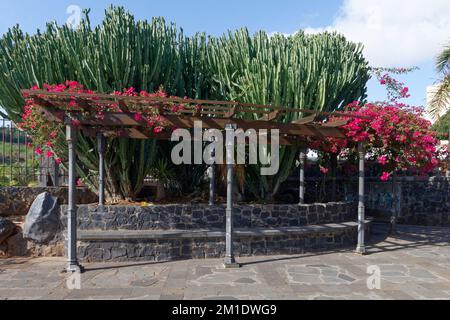 Parque Marítimo César Manrique am Wasserfrotn von Santa Cruz de Teneriffa Stockfoto