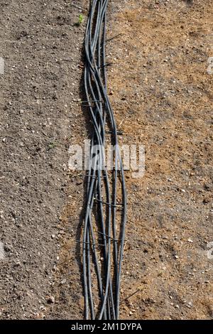 Das Bewässerungssystem mit Sprinklern in ein bebautes Feld für die Bewässerung Stockfoto