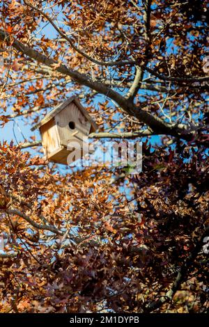 Hausgemachtes Vogelhaus aus Holz, das an einem Ast hängt Stockfoto