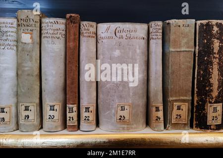 Alte Bücher in der Bibliothek von Herzogin Anna Amalia, Rokoko-Raum, klassisches Weimar, UNESCO-Weltkulturerbe, Weimar, Thüringen, Deutschland, Europa Stockfoto