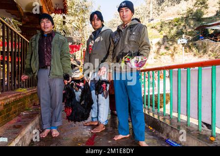 3 junge Männer, die eine Ziege ohne Kopf tragen, nachdem sie im Dakshinkali-Tempel geopfert wurden Stockfoto