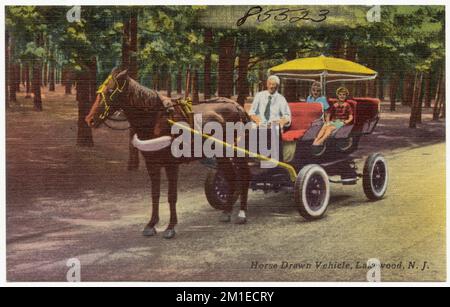 Pferdewagen, Lakewood, N. J., Tichnor Brothers Collection, Postkarten der Vereinigten Staaten Stockfoto