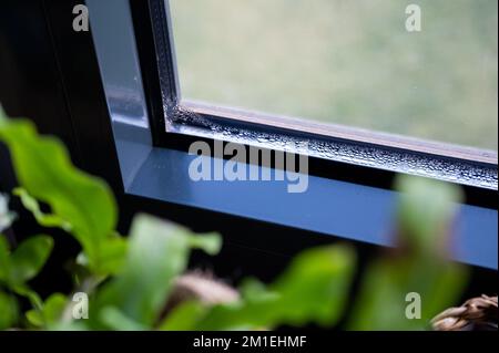 Kondenswasser an einem Fenster im Winter. Feuchtigkeit und Feuchtigkeit können zu Schimmelschäden führen. Stockfoto