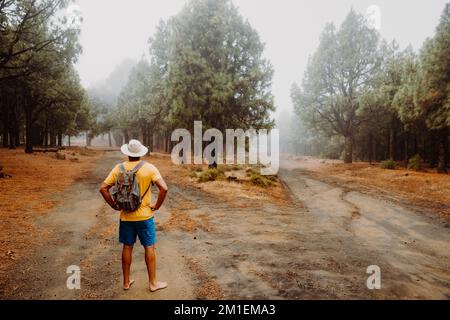 Wanderer mit kurzen Hosen und ohne Schuhe stehen im Wald und müssen entscheiden, ob er rechts oder links geht Stockfoto