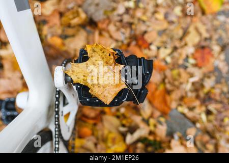 Herbstlaub auf dem Fahrradpedal Stockfoto