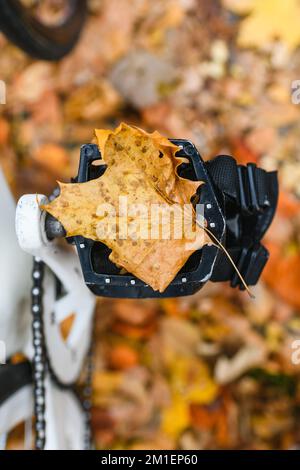 Herbstlaub auf dem Fahrrad aus nächster Nähe, romantische Herbstfahrten, aktive Freizeitaktivitäten im Naturpark, Blick nach unten Stockfoto