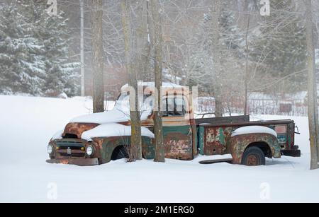 Ein gerosteter 1954 International Harvester R-120 Pickup, der im Winter zwischen Bäumen geparkt ist Stockfoto