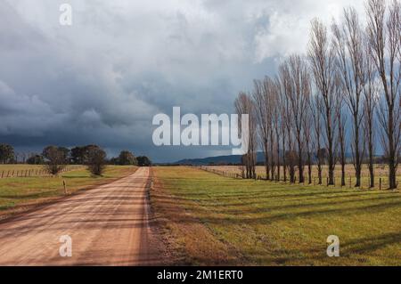 Landstraße mit dramatischen Sturmwolken im Hintergrund und Pappeln entlang der Straße. Stockfoto