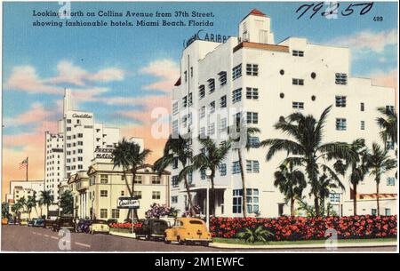 Von der 37. Street nach Norden auf der Collins Avenue, Showing Fashonable Hotels, Miami Beach, Florida , Hotels, Tichnor Brothers Collection, Postkarten der Vereinigten Staaten Stockfoto