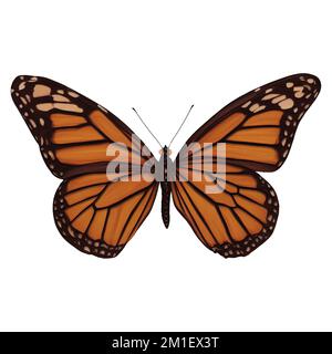 Orange Butterfly Insect Variation 3 Digital Art Mal Winters860 Isolierter, Transparenter Hintergrund Stockfoto