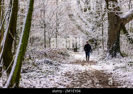 Brighton, Großbritannien. 12.. Dezember 2022. Ein lokaler Fotograf in den nahegelegenen Wäldern von Falmer während des letzten Schnees, Sussex. Kredit: Steven Paston/Alamy Live News Kredit: steven paston/Alamy Live News Stockfoto