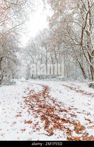 WETTER IN GROSSBRITANNIEN. Wembley Park, Großbritannien. 12.. Dezember 2022 Die Londoner wachten letzte Nacht mit eisigen Temperaturen und Winterszenen nach heftigem Schneefall in der Hauptstadt auf. Foto: Amanda Rose/Alamy Live News Stockfoto