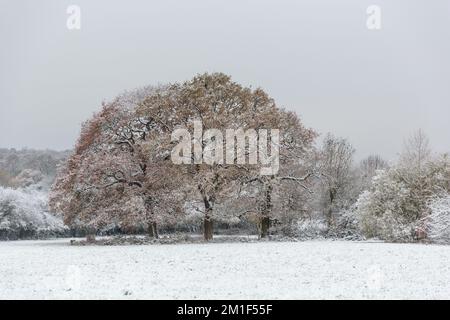 WETTER IN GROSSBRITANNIEN. Wembley Park, Großbritannien. 12.. Dezember 2022 Die Londoner wachten letzte Nacht mit eisigen Temperaturen und Winterszenen nach heftigem Schneefall in der Hauptstadt auf. Foto: Amanda Rose/Alamy Live News Stockfoto