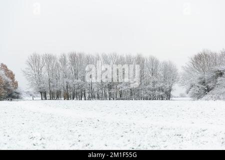 WETTER IN GROSSBRITANNIEN. Wembley Park, Großbritannien. 12.. Dezember 2022 Die Londoner wachten letzte Nacht mit eisigen Temperaturen und Winterszenen nach heftigem Schneefall in der Hauptstadt auf. Foto: Amanda Rose/Alamy Live News Stockfoto