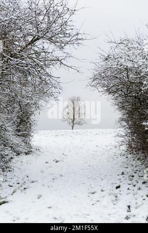 WETTER IN GROSSBRITANNIEN. Wembley Park, Großbritannien. 12.. Dezember 2022 Die Londoner wachten letzte Nacht mit eisigen Temperaturen und Winterszenen nach heftigem Schneefall in der Hauptstadt auf. Foto: Amanda Rose/Alamy Live News Stockfoto