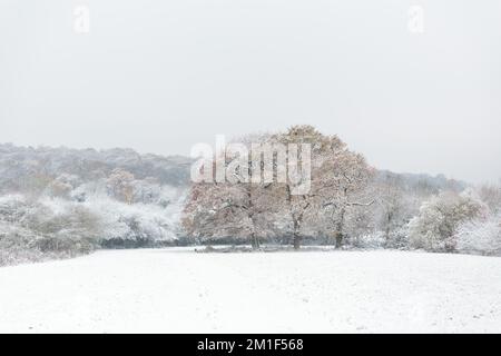 WETTER IN GROSSBRITANNIEN. Wembley Park, Großbritannien. 12.. Dezember 2022 Die Londoner wachten letzte Nacht mit eisigen Temperaturen und Winterszenen nach heftigem Schneefall in der Hauptstadt auf. Foto: Amanda Rose/Alamy Live News Stockfoto