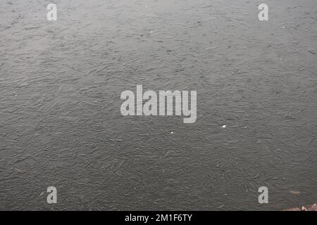 Gefrorener Teich beim Wasserwerk in Belfast Stockfoto