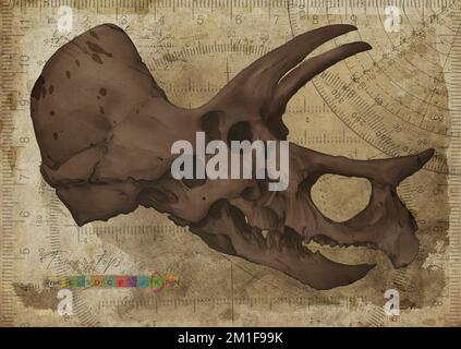 Triceratops Dinosaur Skull Art Study Old Textured Paper Vintage Geometrical Antique Poster Stockfoto