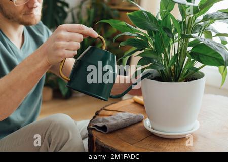 Mann, der zu Hause Pflanzen aus einer Gießkanne gießt. Hausarbeit- und Pflegepflanzenkonzept. Nahaufnahme Stockfoto