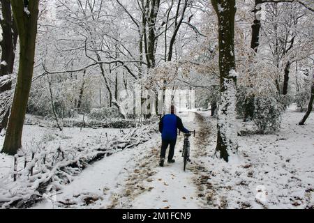 Verschneite Szenen in highgate Wood und Queens Wood North london N10 england großer britischer Radfahrer, der Fahrrad durch Queens Wood schiebt Stockfoto