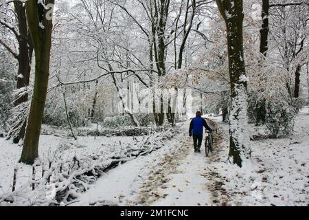 Verschneite Szenen in highgate Wood und Queens Wood North london N10 england großer britischer Radfahrer, der Fahrrad durch Queens Wood schiebt Stockfoto