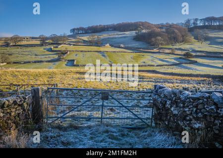 Incy Felder über Langcliffe in den Yorkshire Dales Stockfoto