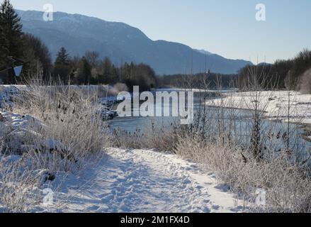 Winterlandschaft des Eagle Run Deiches in Brackendale, Squamish, British Columbia, Kanada Stockfoto