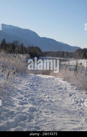 Winterlandschaft des Eagle Run Deiches in Brackendale, Squamish, British Columbia, Kanada Stockfoto