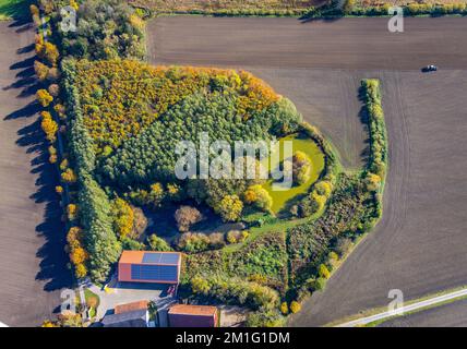 Luftaufnahme, kleiner Wald mit Teich in Neuer Weg hinter Haus Reck im Bezirk Pelkum in Hamm, Ruhrgebiet, Nordrhein-Westfalen, Deutschland, DE, Harvesti Stockfoto