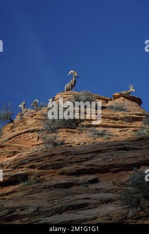 Eine vertikale Aufnahme von Bergmänteln auf einer Klippe im Zion Nationsl Park Stockfoto