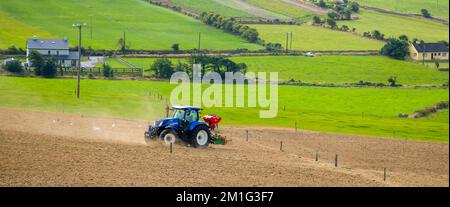 County Cork, Irland, 20. August 2022. Ein blauer Traktor sät an einem Sommertag in Irland ein gepflügtes Feld. Landwirtschaftliche Arbeit auf einem irischen Hof, landwirtschaftlich Stockfoto