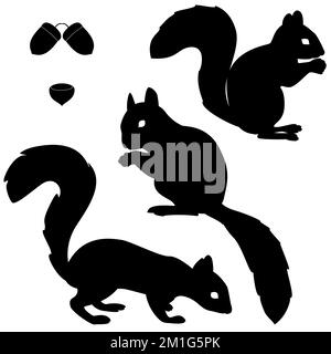 Ein Satz Eichhörnchen-Silhouetten, isoliert auf weißem Hintergrund Stock Vektor