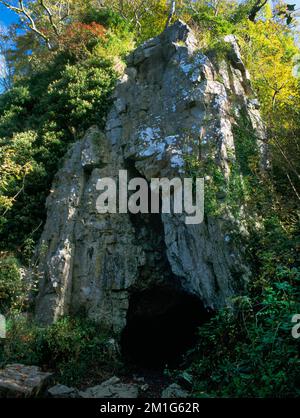 Sehen Sie NE des Eingangs zur Cathole Cave, Gower, Swansea, Wales, Großbritannien, In den bewaldeten Kalksteinklippen mit Blick auf den Parc le Breos, dem langen Cairn im Tal. Stockfoto