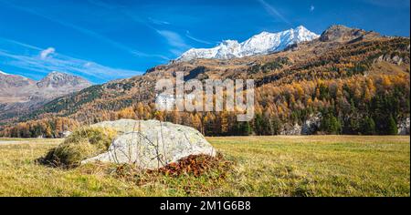 Wunderschöner Panoramablick auf das Engadin-Tal in Switserland in der Nähe des Dorfes Sils Maria im Herbst. Stockfoto