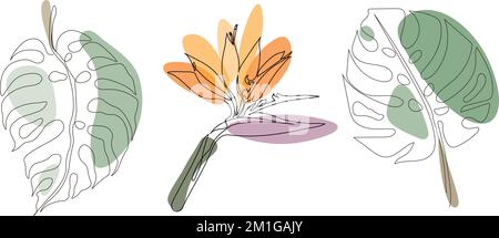 Set aus durchgehender, einzeiliger Zeichnung von Monstera-Blättern und Paradiesblume. Wunderschöne, lineare tropische Blumenkunst isoliert auf weißem Hintergrund. Vektor Stock Vektor