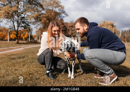 Ein junges Paar amüsiert sich draußen mit einem dalmatinischen Hund. Stockfoto