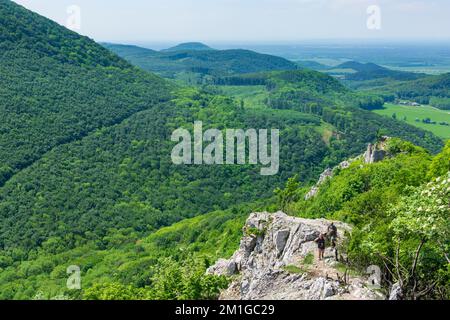 Bukova (Bixard): Blick vom Hügel Zaruby auf das Schloss Ostry Kameň (Schloss Scharfenstein) in Male Karpaty (kleine Karpaten), Slowakei Stockfoto