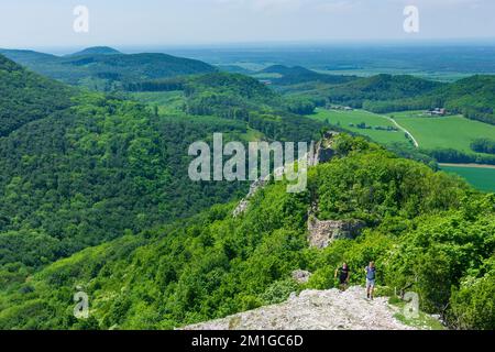 Bukova (Bixard): Blick vom Hügel Zaruby auf das Schloss Ostry Kameň (Schloss Scharfenstein) in Male Karpaty (kleine Karpaten), Slowakei Stockfoto