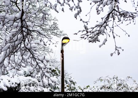 Eine schneebedeckte Straßenbeleuchtung und Lampe leuchten gelb vor einem grauen und erbärmlichen Winterhimmel. Bäume mit Schnee wirken als Rahmen für das Bild Stockfoto