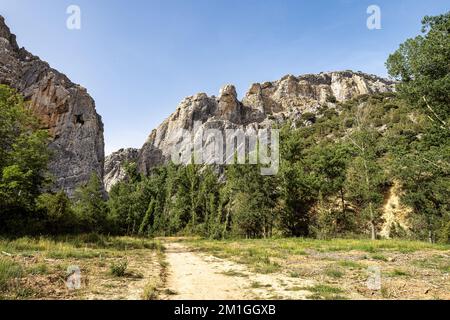 La Yecla Schlucht, Provinz Burgos, Spanien. Es ist eine Tiefe und schmale Schlucht in Kalkstein Materialien modelliert Stockfoto