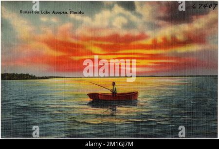 Sonnenuntergang auf Lake Apopka, Florida, Seen & Teiche, Tichnor Brothers Collection, Postkarten der Vereinigten Staaten Stockfoto