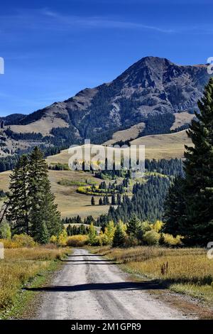 Die Landschaft der Rocky Mountains entlang der Tom Miner Creek Road in Montana in der Nähe von Gardiner, dem Tor zum nördlichen Yellowstone-Nationalpark Stockfoto